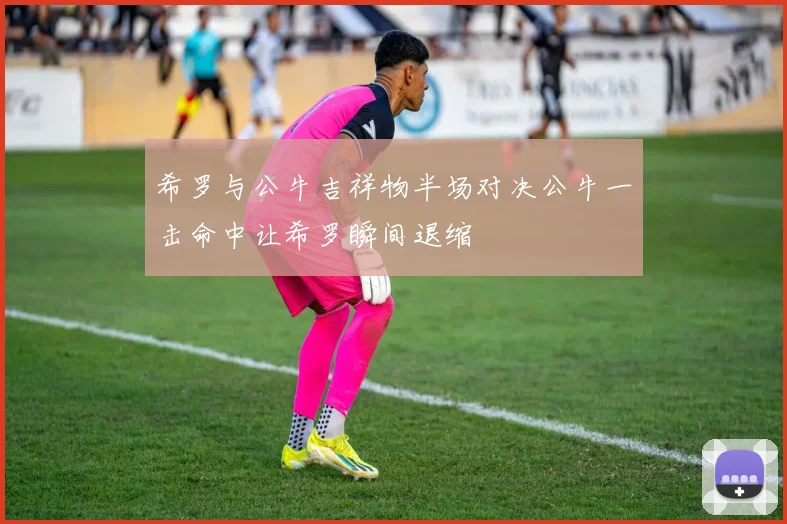希罗与公牛吉祥物半场对决公牛一击命中让希罗瞬间退缩