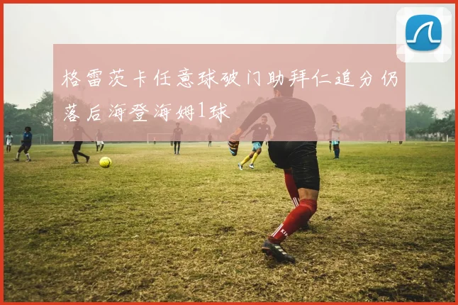 格雷茨卡任意球破门助拜仁追分仍落后海登海姆1球