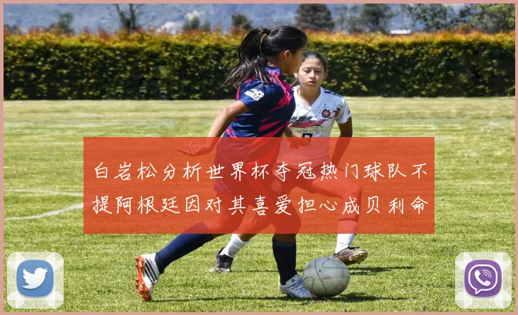 白岩松分析世界杯夺冠热门球队不提阿根廷因对其喜爱担心成贝利命运